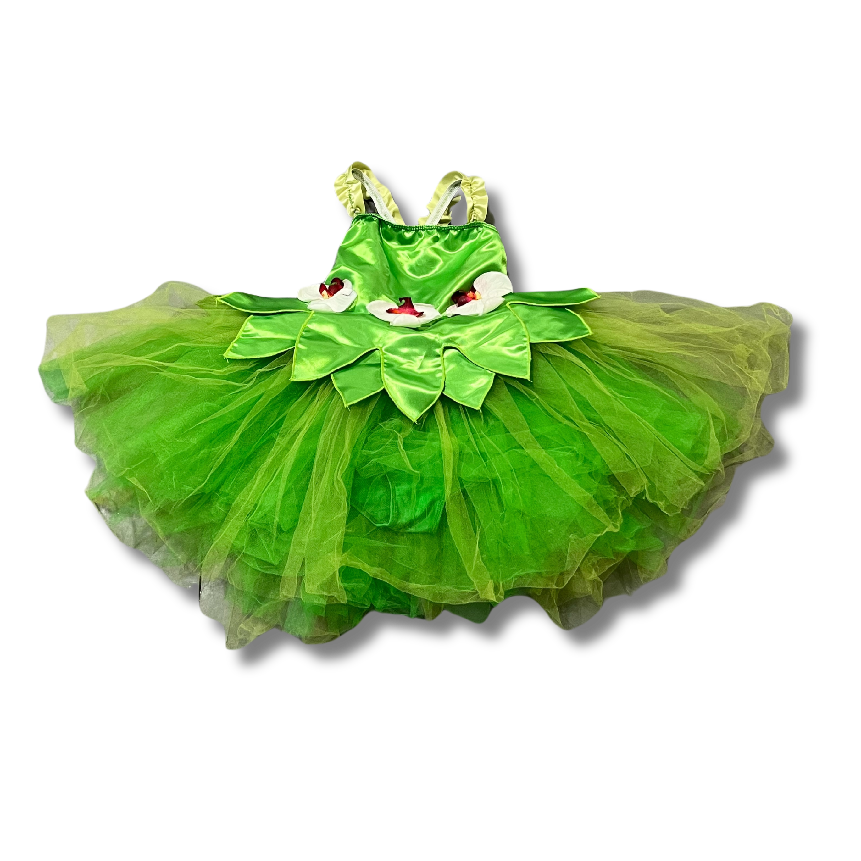Tinkerbell Ballet Dress 5 Tinkerbell Ballet Dress 5