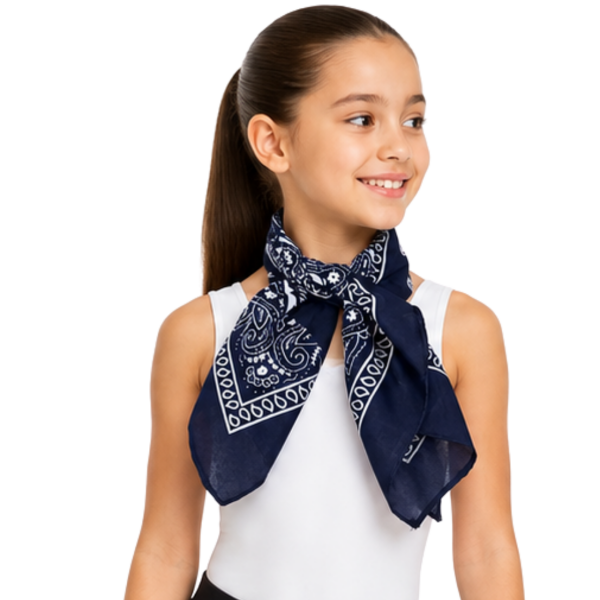 Bandana – Navy Paisley 3