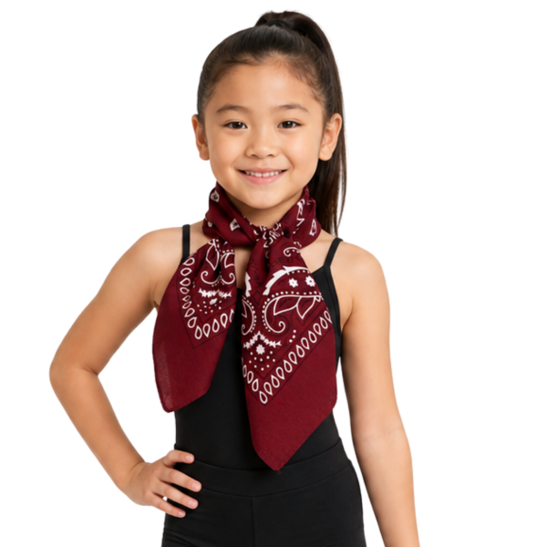 Bandana – Burgundy Paisley 100