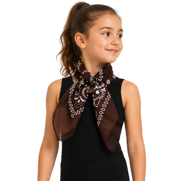 Bandana – Brown Paisley 3