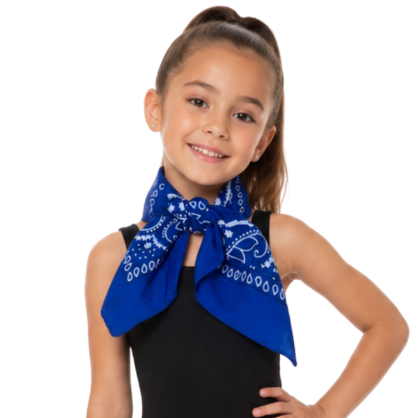 Bandana – Royal Blue Paisley 3