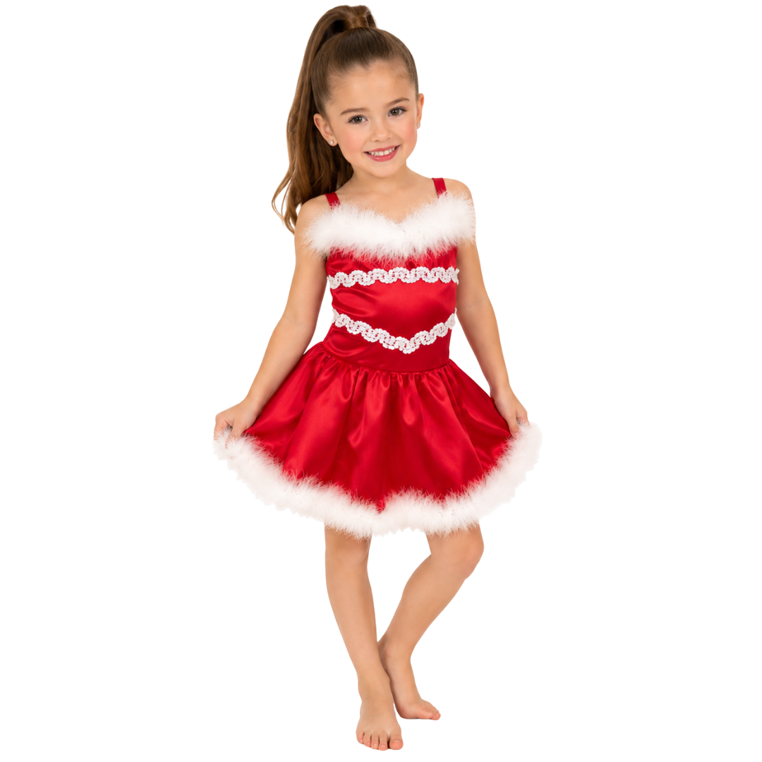 Holiday Sequin Trim Tutu Dress 6 Holiday Sequin Trim Tutu Dress 6