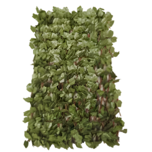 Leaf Covered Lattice Fence