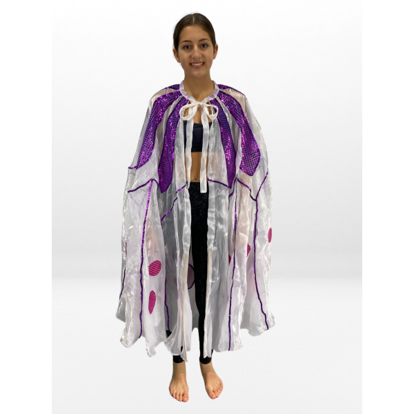 Sequin Butterfly Cape 4