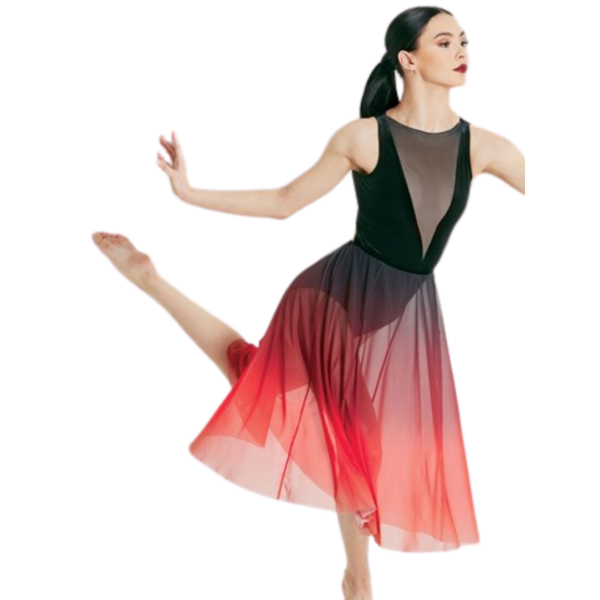 “Velvet and Ombre Mesh Dress” 6