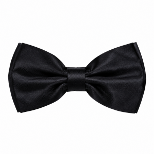 Black Bow Tie 3