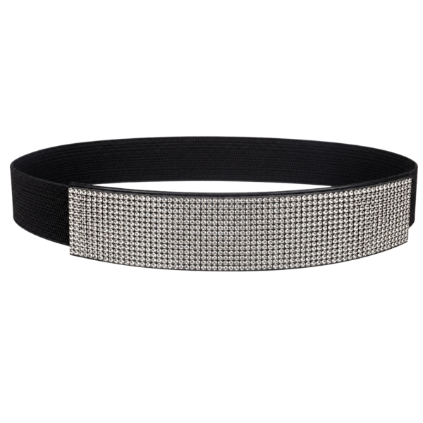 Rhinestone Belts 3