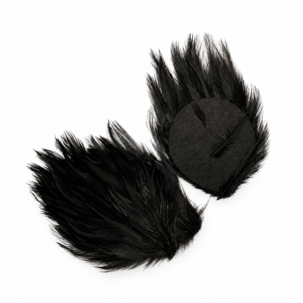 Black Feather Appliques 3