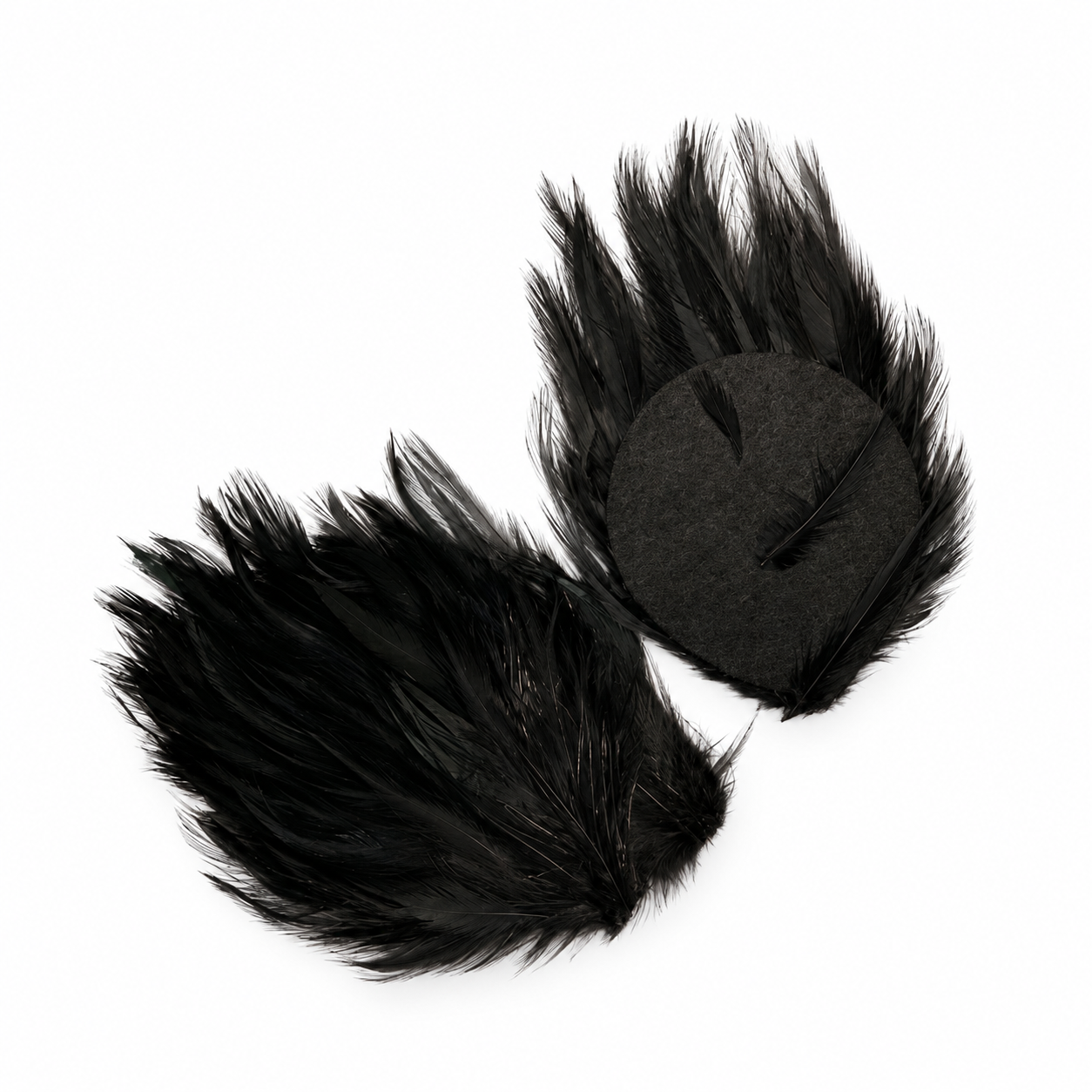 Black Feather Appliques 4 Black Feather Appliques 4