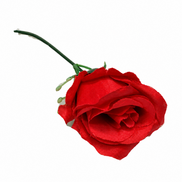 Roses on Stem