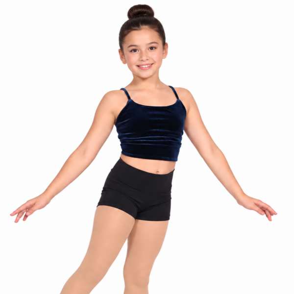 Blue Velvet Crop Top 4