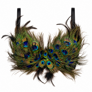 Peacock Bra 2