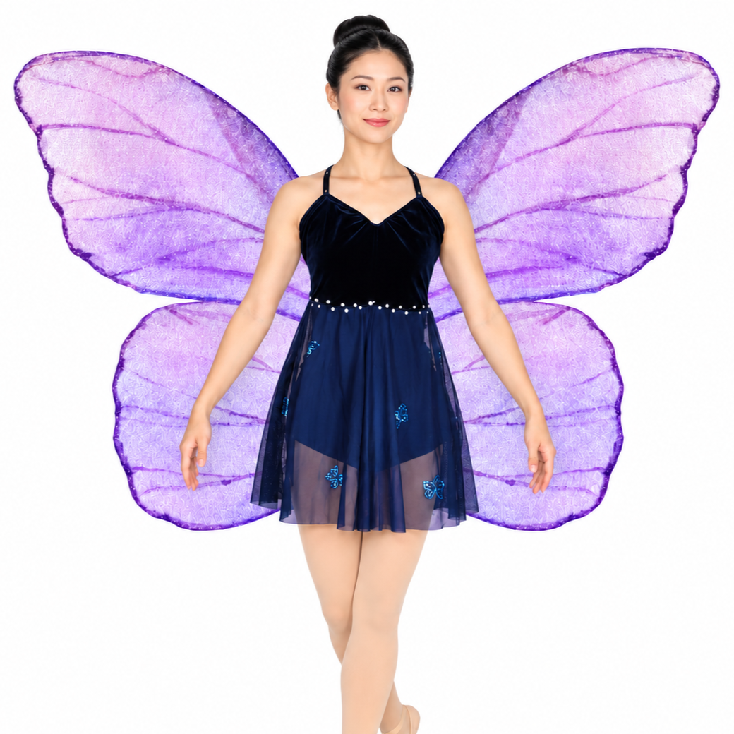 “Come Fly With Me” 5 “Come Fly With Me” 5
