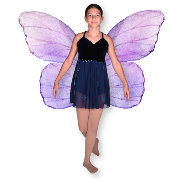 “Come Fly With Me” 5