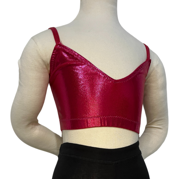 Fuchsia Crop Top 77