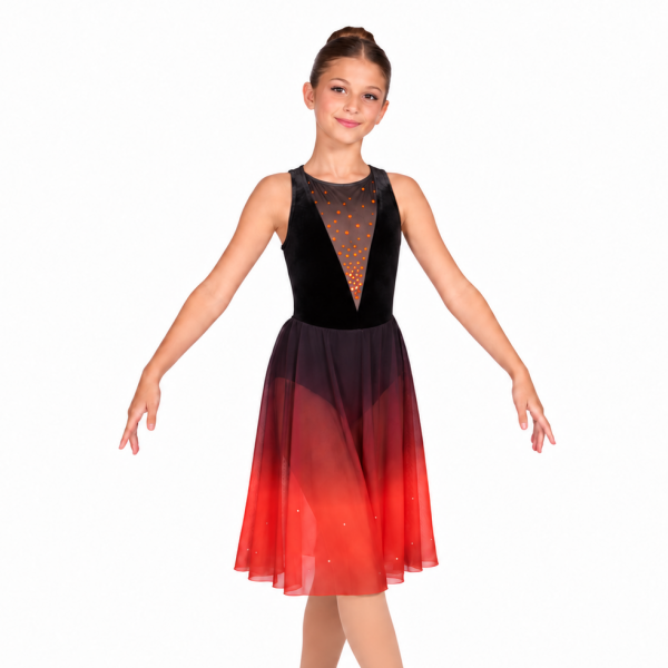 “Velvet and Ombre Mesh Dress” 6