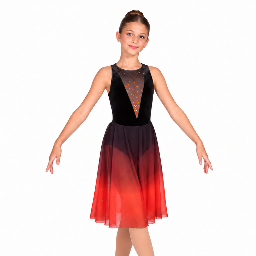 “Velvet and Ombre Mesh Dress” 6 “Velvet and Ombre Mesh Dress” 6
