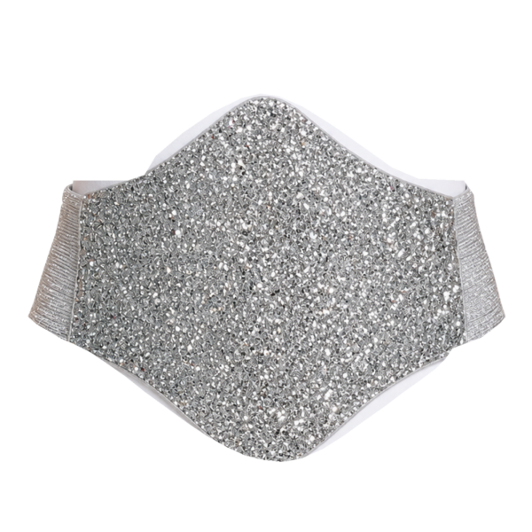 Silver Elastic Waist Corset Buckle 4