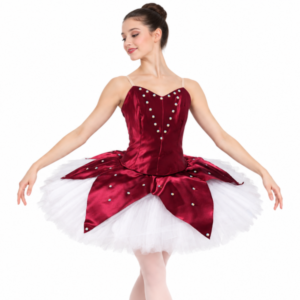 Red Satin Platter Tutu Ballet Dress 2