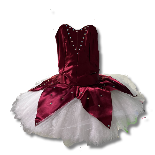 Red Satin Platter Tutu Ballet Dress 2
