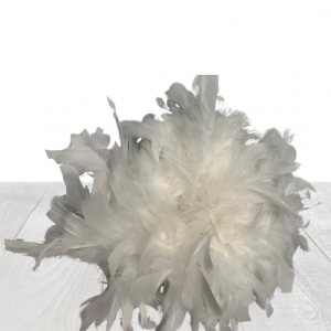 Feather Headband 3