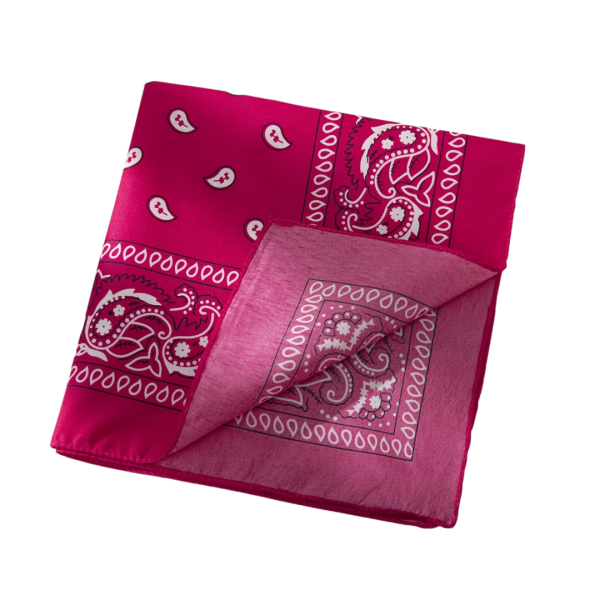 Bandana – Hot Pink Paisley 3