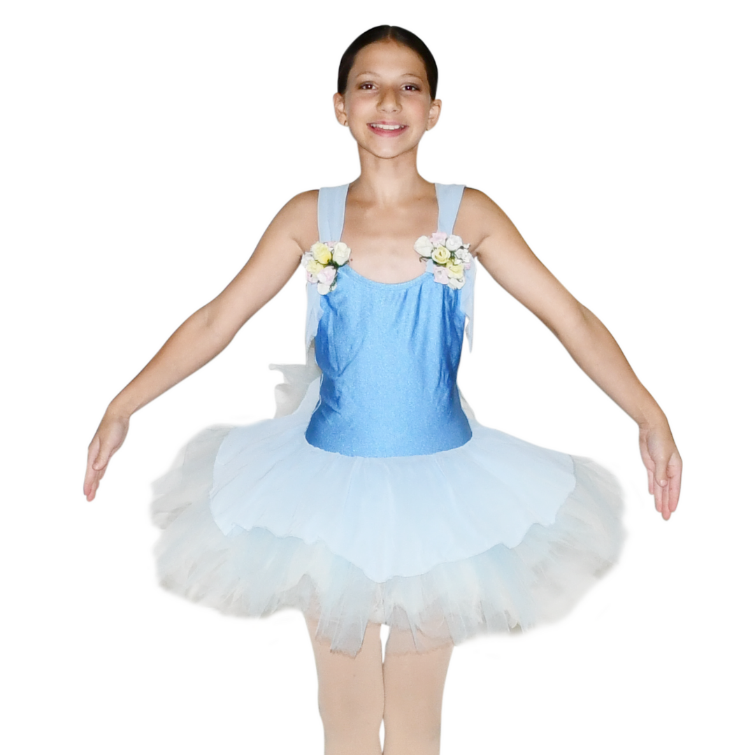 Blue Flower Ballet Dress 5 Blue Flower Ballet Dress 5