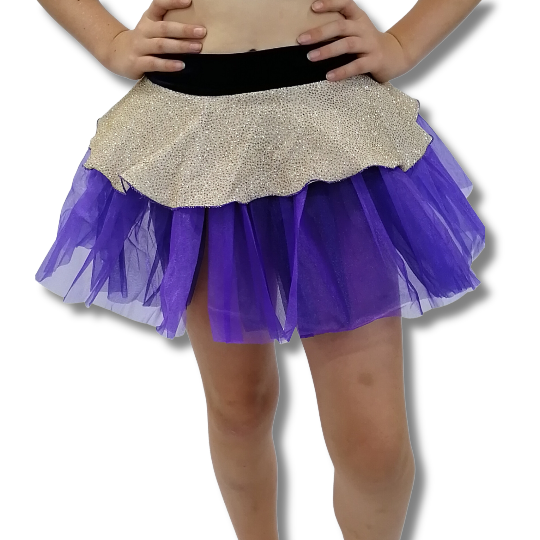 Purple and Gold Skirt 5 Purple and Gold Skirt 5