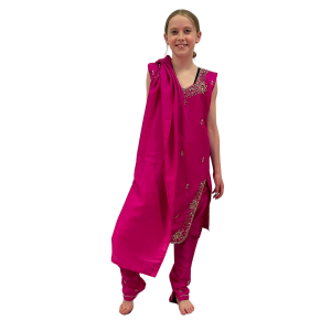Pink Sari Set 4