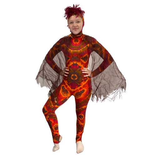 “Flight of the Pheonix” 5 “Flight of the Pheonix” 5